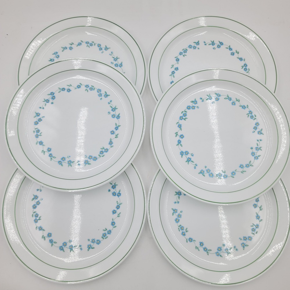 6pc Corelle Forget Me Not Dinner Plates Set Blue Floral Green Rim‎ 10.25 inch